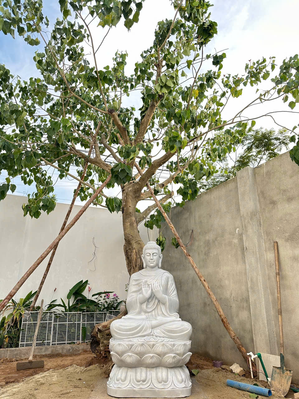 tượng phật thích ca mâu ni bằng đá